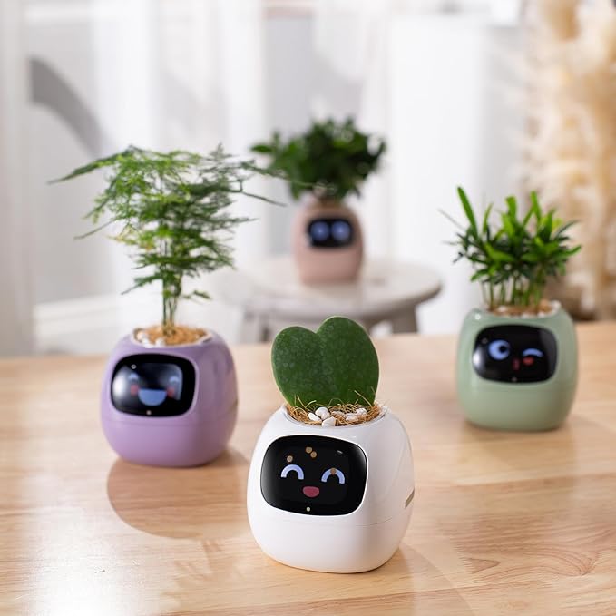 AdoraECO™ Ivy Smart planter 🪴