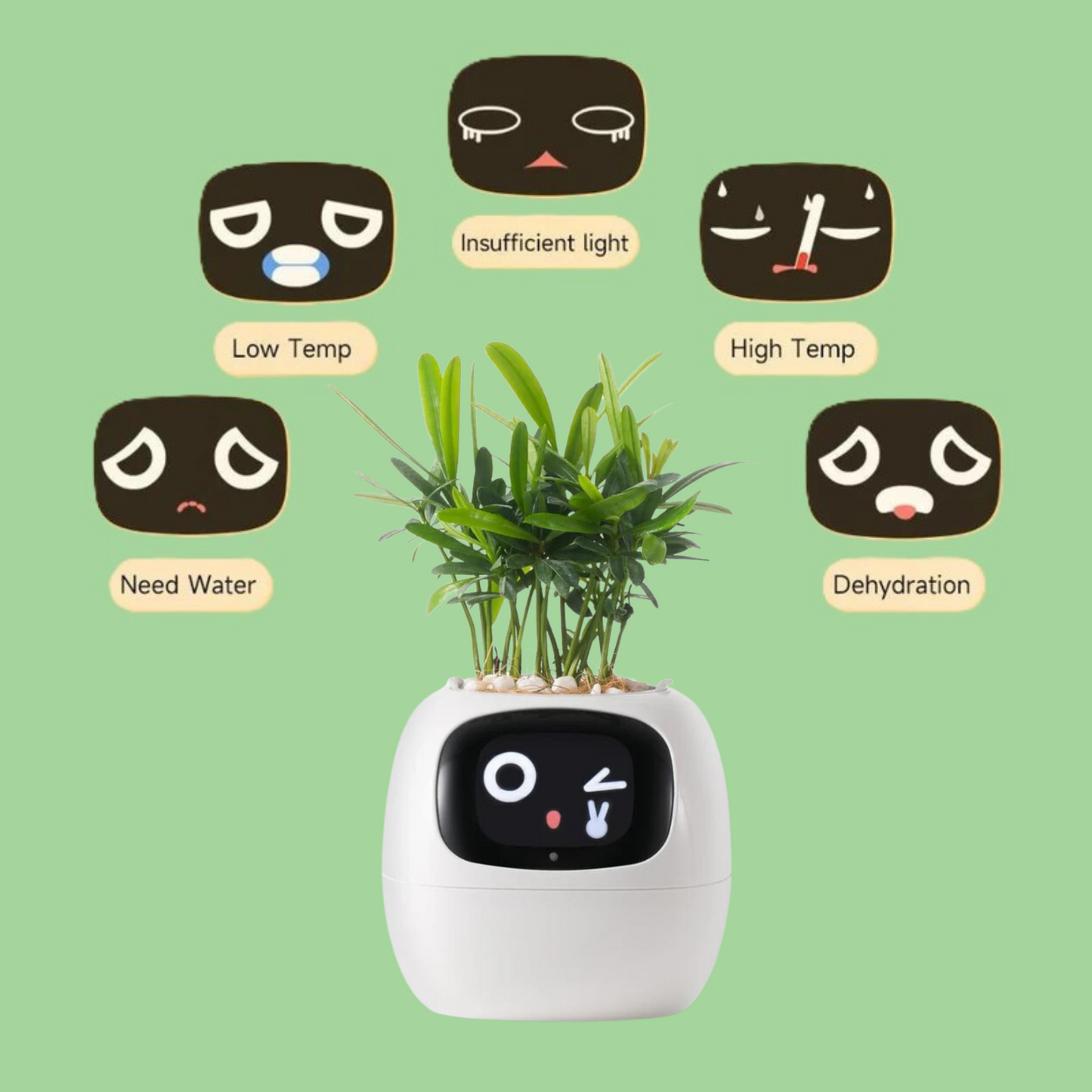 AdoraECO™ Ivy Smart planter 🪴