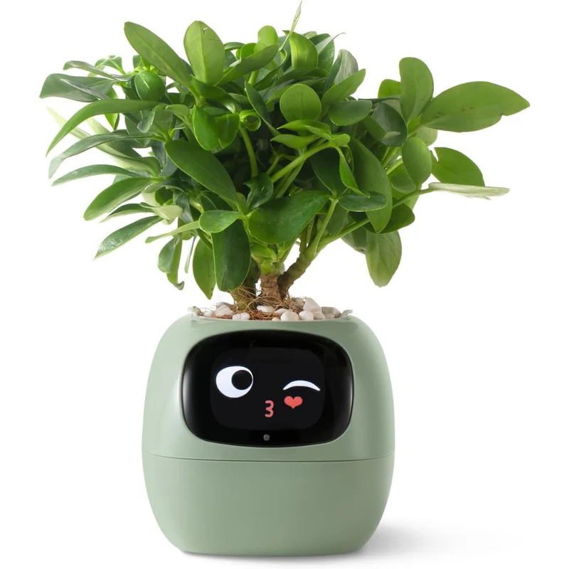 AdoraECO™ Ivy Smart planter 🪴