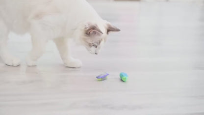 Electric Bug Cat Toy